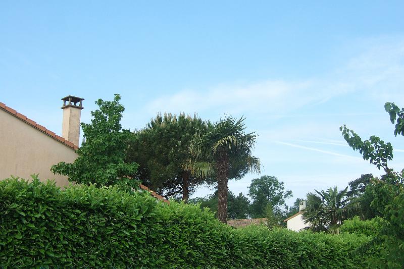 2011-05- (1272).JPG